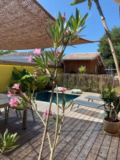 Casa Alegria Maison avec piscine - 7