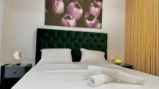 Velvet-Nest near Iulius Mall - 1