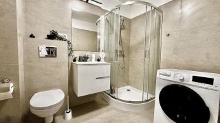 Velvet-Nest near Iulius Mall - 2