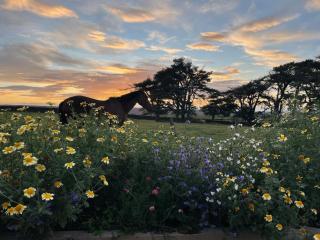 Self catering at High Keenley Fell Farm - Whitfield - 1