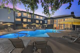 Central Relaxing 1BR Phoenix Retreat near Airport apts - 4