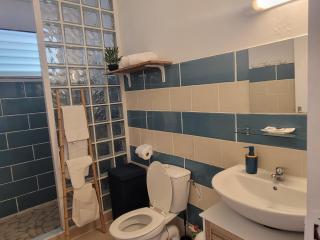 LE MANGO COSY proche de l'aéroport - 1