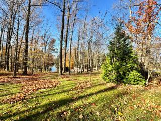 Lakefront Cabin - 1