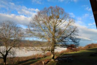 Chez Louve Bleue - 1