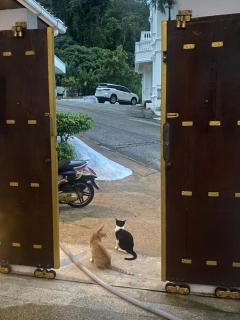 OASIS VILLA Karon Beach - 3