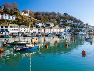 2 Bed in Saltash 95645 - 6
