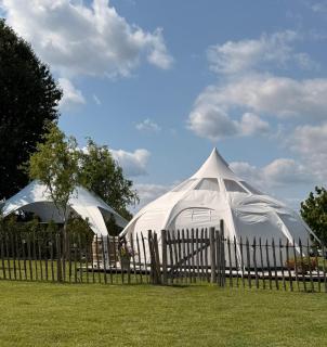 Glamping Moonlight - 6