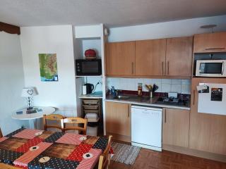 appartement Puy St Vincent pied des pistes et piscine couverte - 1