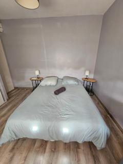 Chambre avec coin cuisine/repas - Colomiers - 3