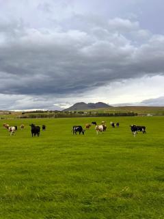 Hellisholar Cottages - 2