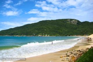 Apartamento 200m da praia e do centro dos Ingleses - 7