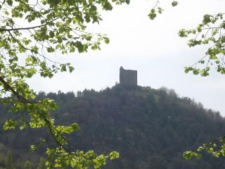 Gîte Du Domaine De Brondel - 1