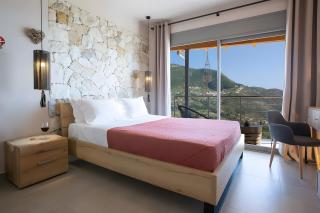 Modern Country Villa - 3