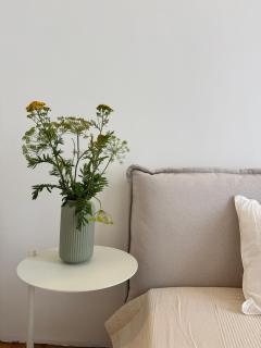 Old Soul,New Style,Best location - 6