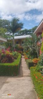 Casa palmera - 0