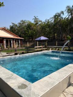 Ninho de curiango - 6