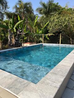 Ninho de curiango - 7