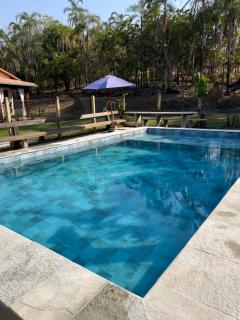 Ninho de curiango - 8