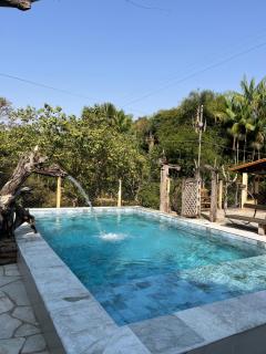 Ninho de curiango - 0