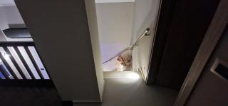 Cretan stars villas Hersonissos - 6