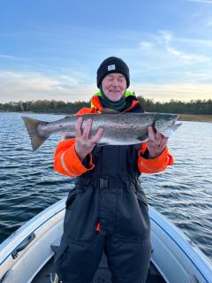 Holmströms stugor - 8