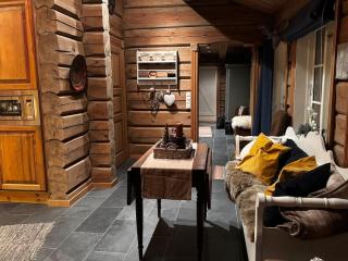 Lovely log cabin at Lifjell - 1