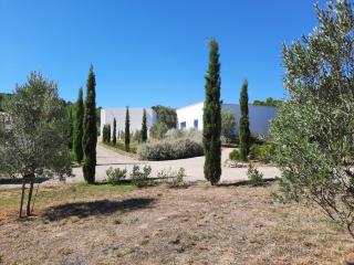 location Silvis dans la propriété Elaia - 7