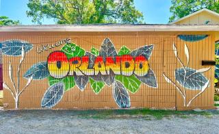 Lakefront Guest House By Downtown, Boat, Fishing - Orlando - 2