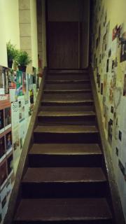 Willa Retro Hostel & Garden - 5