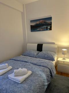 Apartman Radmanović - 1