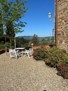 Bellosguardo Farm house in olive groves - San Donato Fronzano, Florence, Toscany - 4
