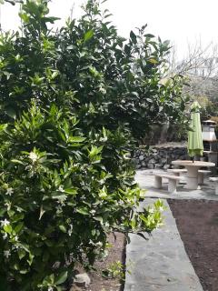 El Almendro - 6