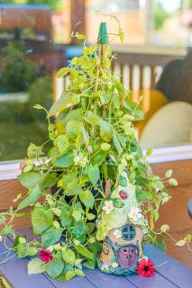 Rainforest Tiny Home Retreat #25 Enchanted - Forks - 8