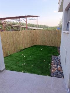 Olive shade - 8