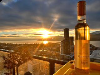 modern private apartment in a 34-story tower with rooftop lounge - 2