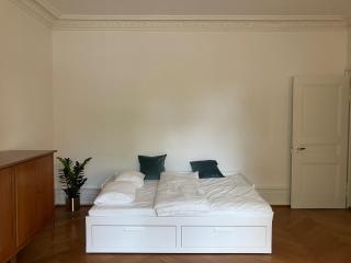 Apartment in a villa with garage and BaselCard - 3