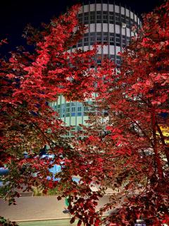 Apartment Ceasul Electric - 2