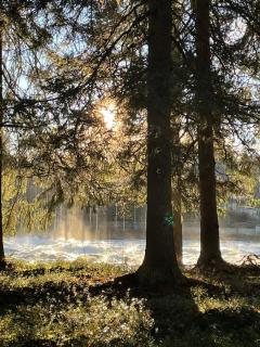 Stay in Skogmästarvillan Hear the roar of the Vindelälven river - 1