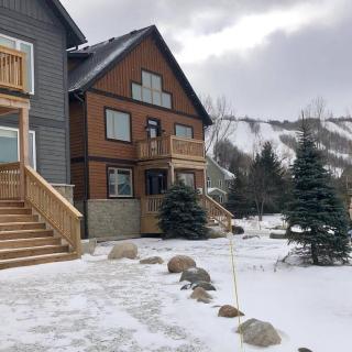 8 BR Luxury Swiss Style Chalet w Hot Tub - 9