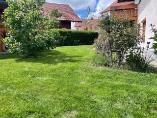 Ideally located apartment in Allgäu - 2
