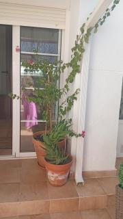 Casa Rural en San Carlos del Valle- Doña Gumersinda - 6