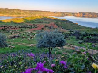 Casas Rurales el Balcon de la Brena - 9