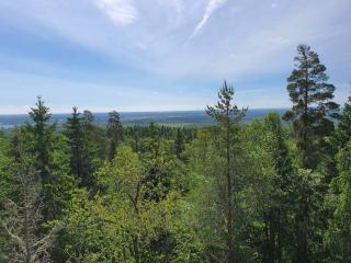 4 person holiday home in DALS ROSTOCK - 2