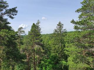 4 person holiday home in DALS ROSTOCK - 1