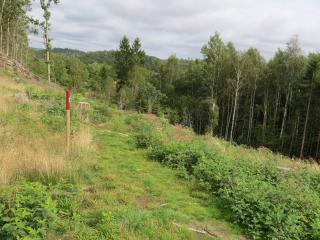 5 person holiday home in MUNKEDAL-By Traum - 1