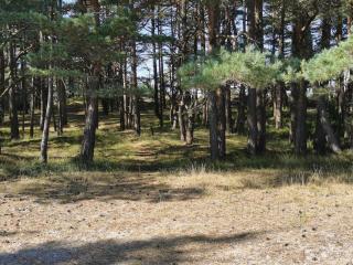 Seaside Charm in Flaton Retreat-By Traum - 6