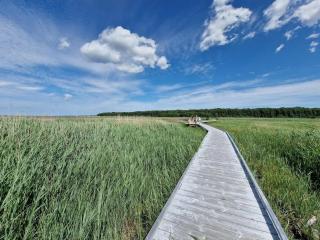 4 person holiday home in Mörbylånga-By Traum - 4