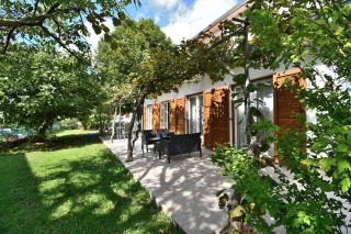 House Villa Lili - Žminj - 9