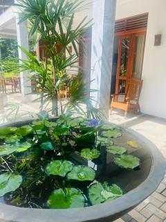 Villa Arana Bentota - 2
