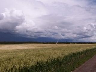 3 person holiday home in FALKENBERG-By Traum - 1